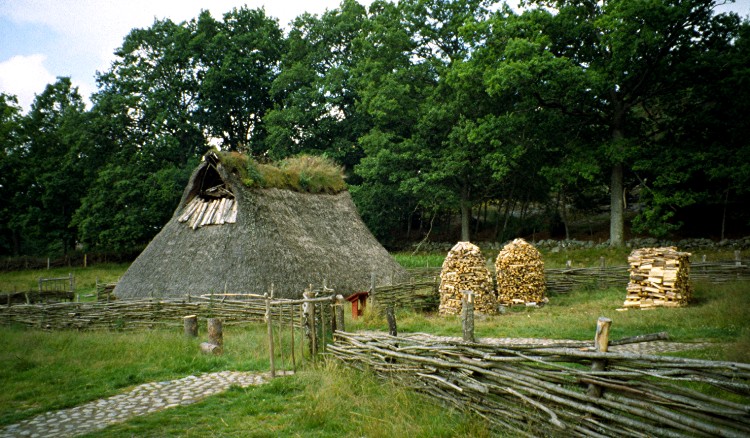 Vitlycke Museum