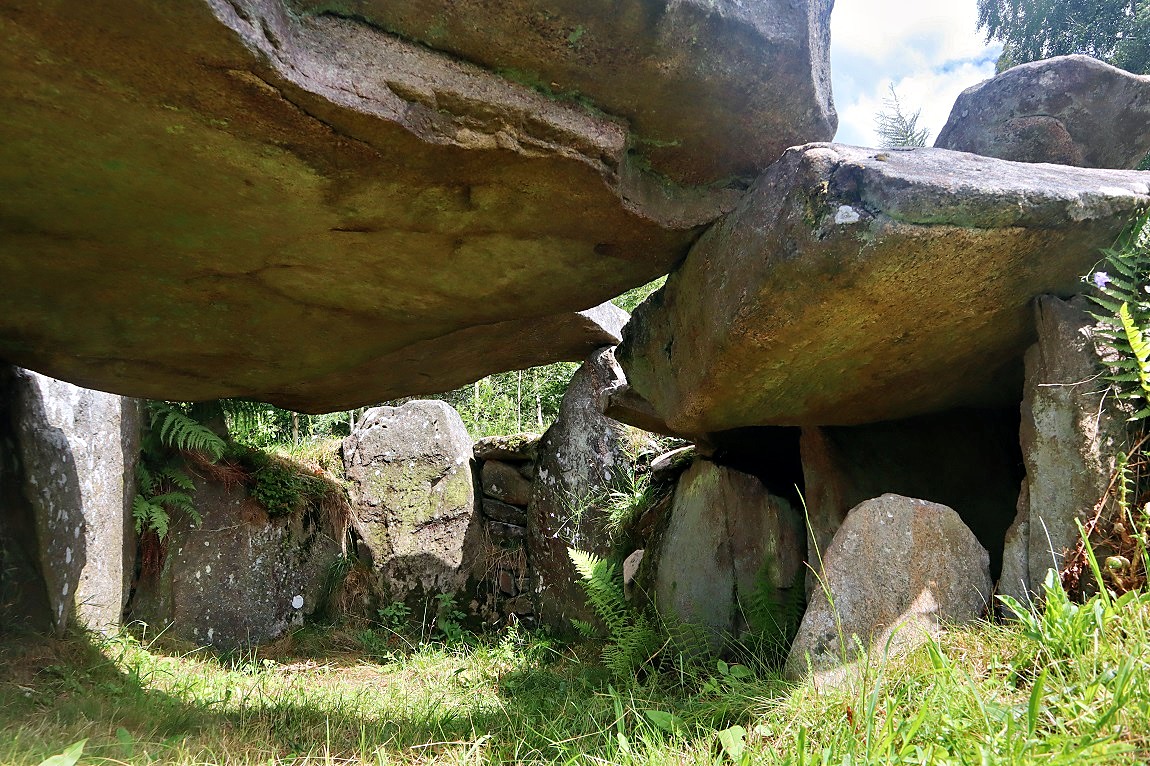 Tolarpsgriften. Foto juli 2023