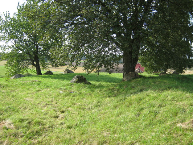 Vårkulma Church Domarring