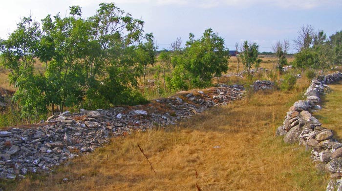 Alby Mesolithic Village