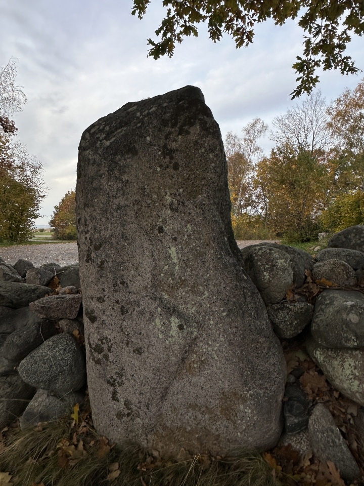 Färjestaden Domarring