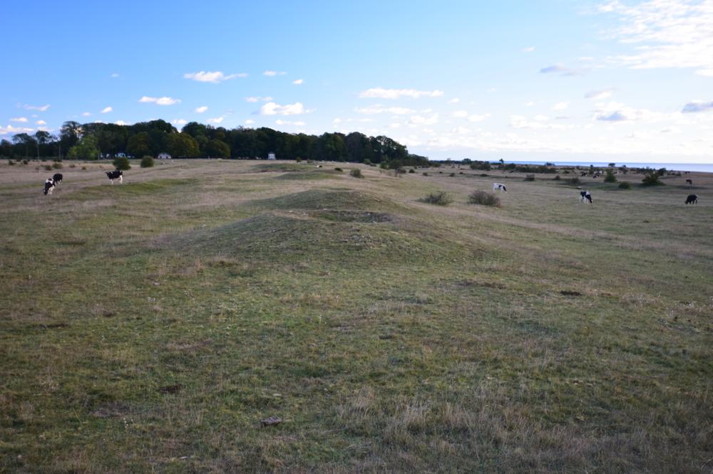 The mounds of the middle part.