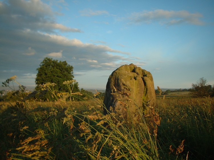 Bull Stone