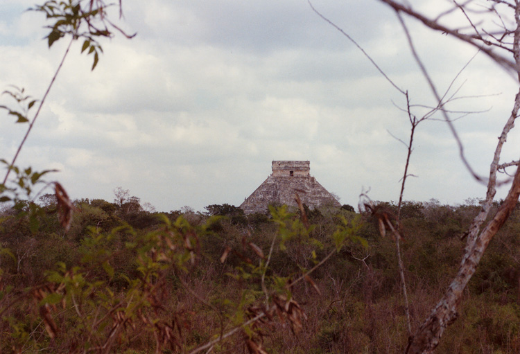 A view of the main pyramid at Chichen Itza through the scrub surrounding the site