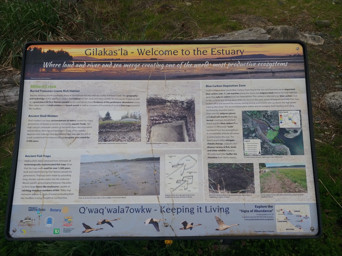 Site in  Canada

The Millard Park Information Sign which includes Information about the Ancient Fish Weir Posts that are remnants of the Aboriginal Fish Trapping Weirs.