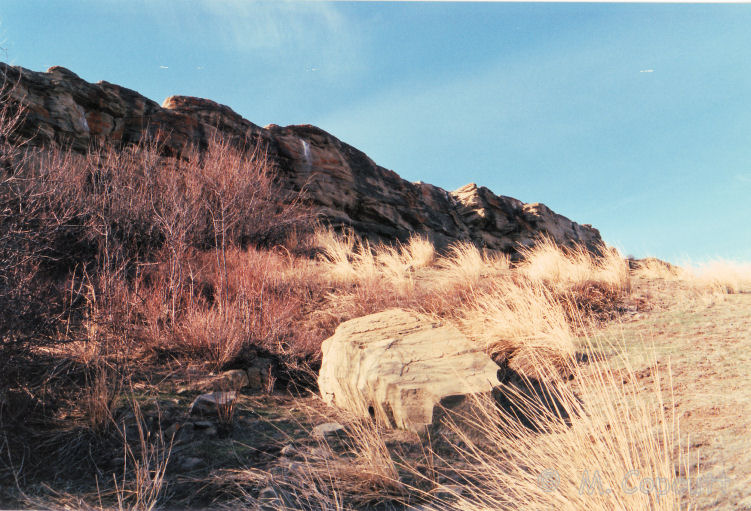 Head-Smashed-In Buffalo Jump. 
Below the cliffs where the buffalo were herded over the edge. There are loads and loads of ancient artefacts just laying around down here - bone, spear points etc. 
April 1989