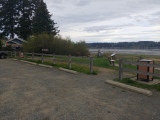 Comox Harbor Ancient Fish Trap