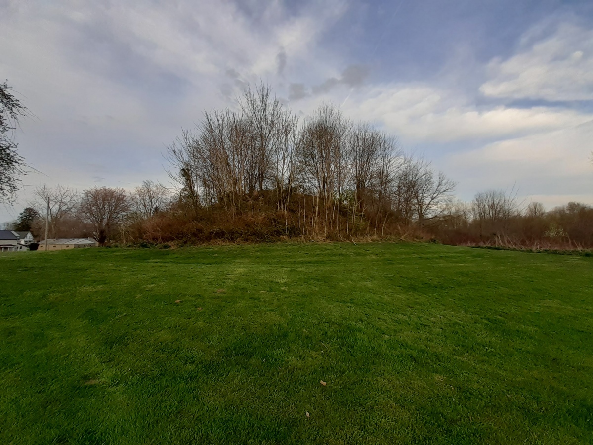 Long view of mound