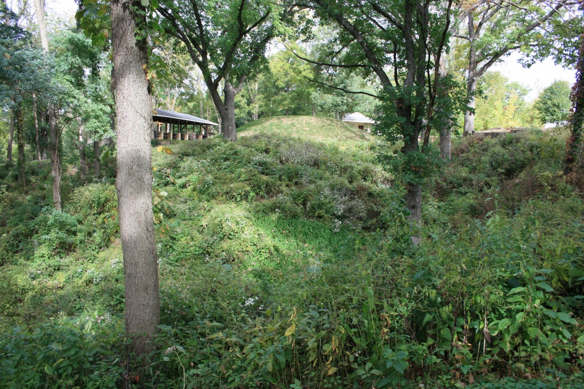 
Dunleith Mounds in Gramercy Park, East Dubuque, Illinois. There were over 25 Hopewell Culture mounds here, on a bluff high above the Mississippi River. The Smithsonian excavated several in the late 1880s.   
Photo courtesy Dr Greg Little, author of the Illustrated Encyclopedia of Native American Indian Mounds & Earthworks (2016). 
