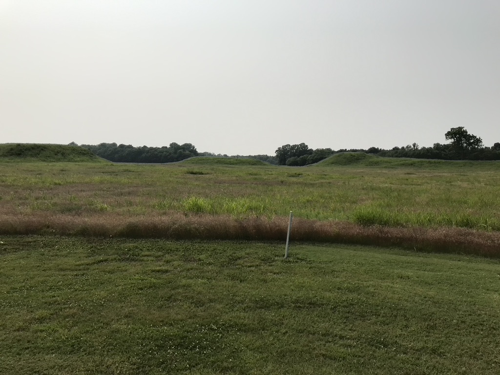 Wide view of the Kincaid Mounds in Brockport, Illinois. The site was begun around AD 1050. It was completely overgrown in the 1980s when I first saw it.


Photo courtesy Dr Greg Little, author of the Illustrated Encyclopedia of Native American Indian Mounds & Earthworks (2016).