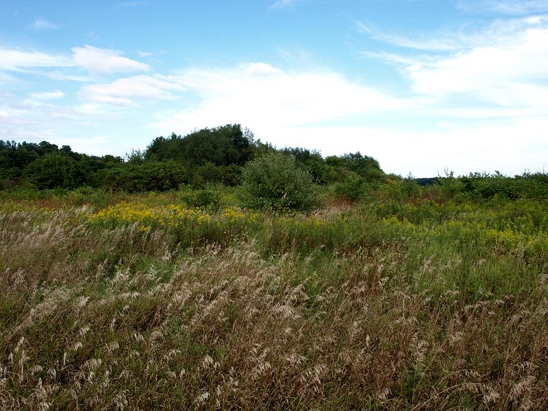 Goodall site.
Photo by bat400, ca. 2010.