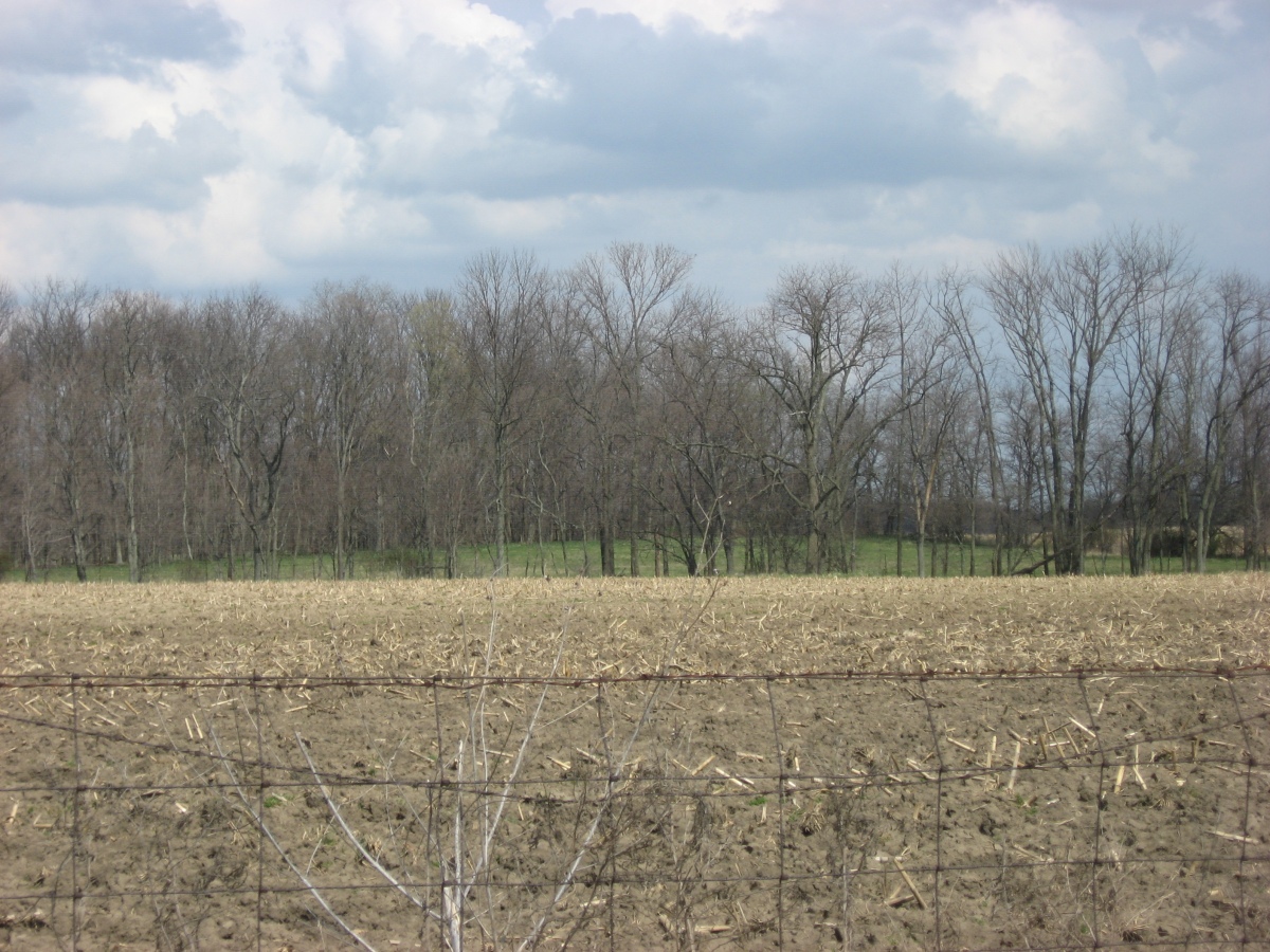 Looking northwest from McKay Road, west of Port William in Liberty Township, Clinton County, Ohio, United States. In the woods in the distance is the Keiter Mound, a burial mound built by the Hopewell culture and a significant archaeological site. It is listed on the National Register of Historic Places. Credit:  Wiki: (Nyttend) public domain.
