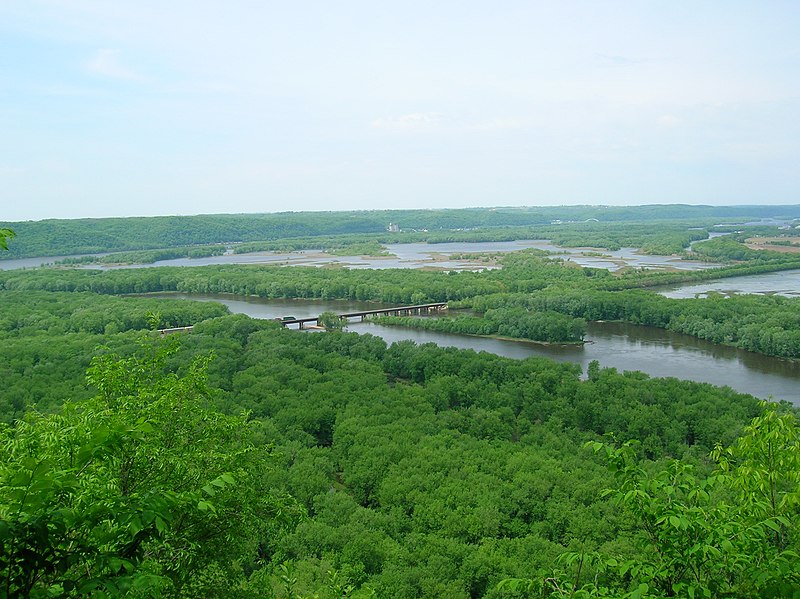 The Wisconsin River delta into the Mississippi River taken at Wyalusing State Park in Wisconsin. The Wisconsin flows from the near right to the Mississippi River. The Mississippi River flows from the right to the left. Iowa is visible in the distance on the other side of the Mississippi River, & Prairie du Chien is just out of view to the right.  Photo credit:  Wiki (Cindy-Flickr).