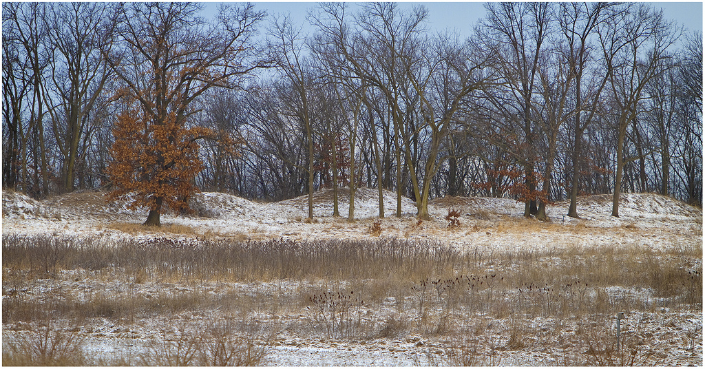 Albany Mounds