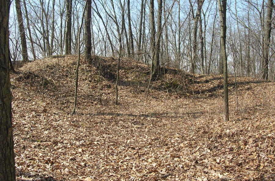 Indian Springs Mound before restoration

Photo credit: Illinois State Archaeological Survey