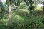 Dunleith Mounds