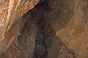 Mammoth Cave Kentucky