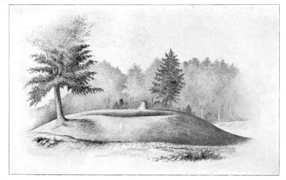 Perch Lake in Jefferson County, NY currently has 70 mounds and is the largest mound group in the state. They are very unusual 