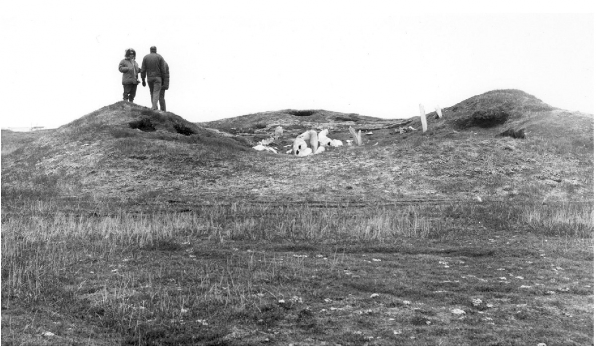 Burial Mounds at the Birnirk Site in Alaska. Photo: National Park Service.
