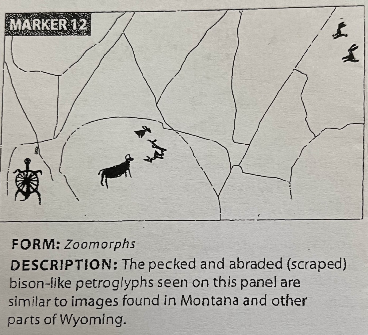 Marker 12 from the Legend Rock flyer from WyoParks.gov.  Familiar petroglyphs similar to those found in adjacent sites/states.  