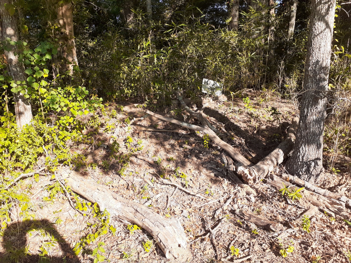 What's left of Mound D. Note the derelict marker sign just to the right of center in the woods. 