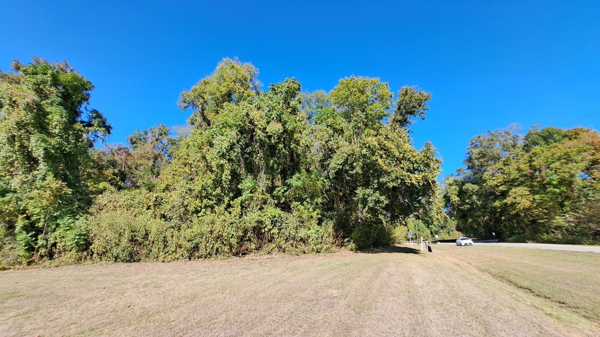 Haynes Bluff Mounds [Haynes Mound Complex] Artificial Mound : The ...