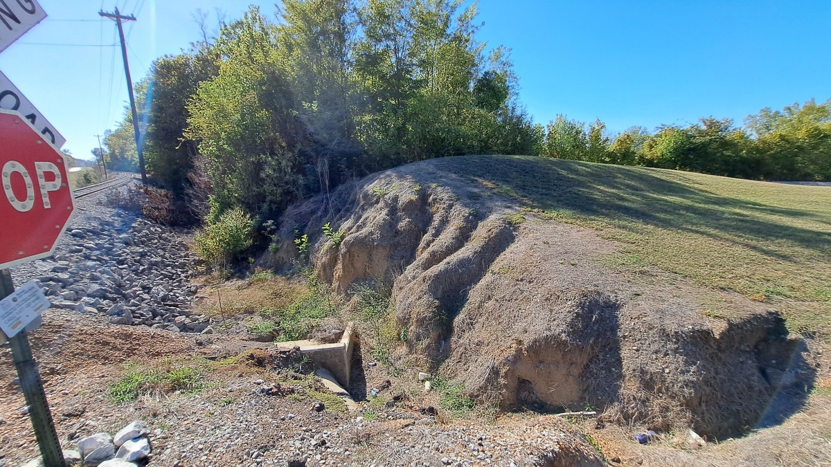 Haynes Bluff Mounds [Haynes Mound Complex] Artificial Mound : The ...