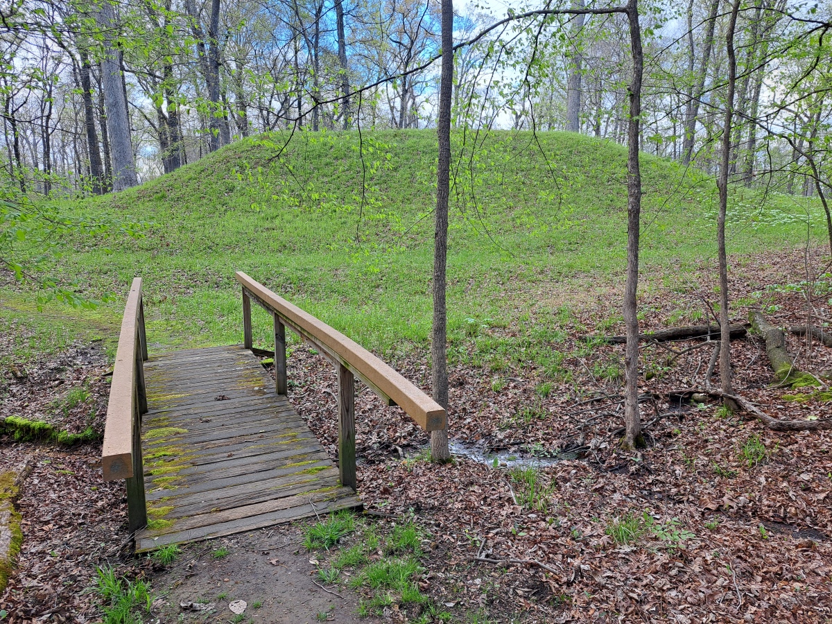 Mound D. Another rectangular platform mound.