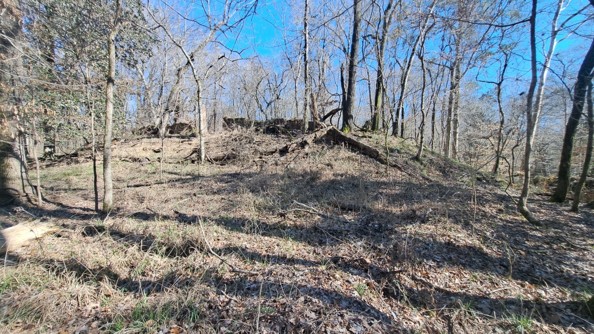 Windsor Mounds