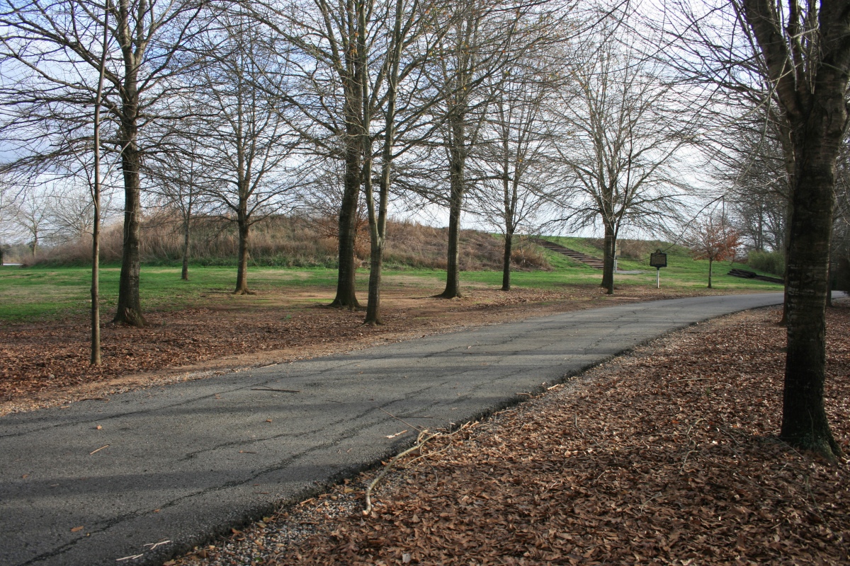 The large rectangular platform mound. 

Photo courtesy of Greg Little author of the Illustrated Encyclopedia of Native American Indian Mounds & Earthworks (2016)