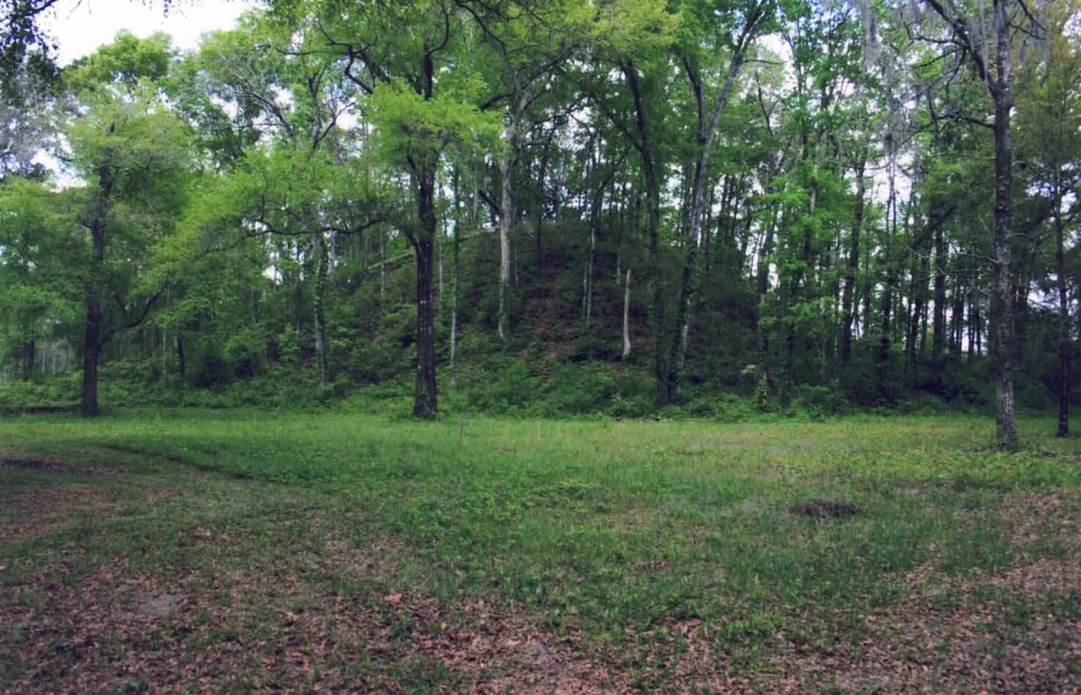 Large mound in the Letchworth, Florida Mound Complex.  Photo courtesy Dr Greg Little, author of the Illustrated Encyclopedia of Native American Indian Mounds & Earthworks (2016). 
