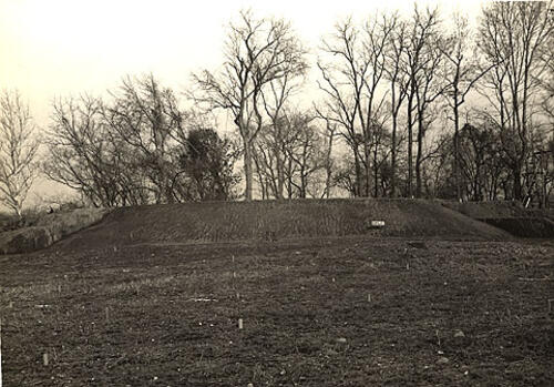 Area detail.  Photo courtesy Dr Greg Little, author of the Illustrated Encyclopedia of Native American Indian Mounds & Earthworks (2016). 
