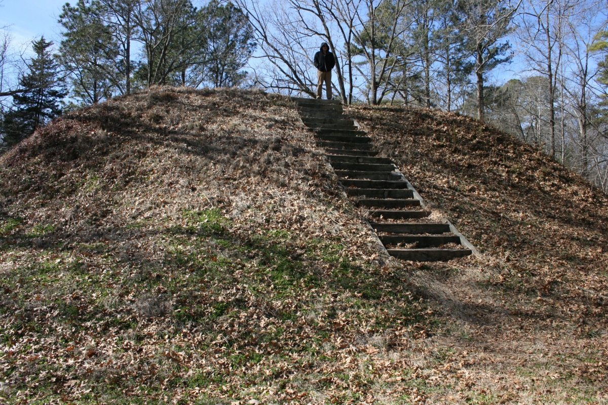 The largest mound at the Owl Creek, Mississippi site.    Photo courtesy Dr Greg Little, author of the Illustrated Encyclopedia of Native American Indian Mounds & Earthworks (2016). 
