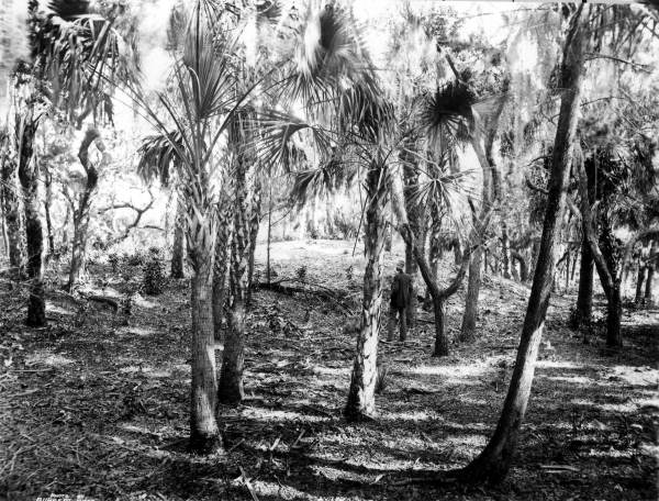
1923 photo of Dr. Leslie Weedon at the excavation of mounds on Weedon Island in Florida.



Photo courtesy Dr Greg Little, author of the Illustrated Encyclopedia of Native American Indian Mounds & Earthworks (2016).
