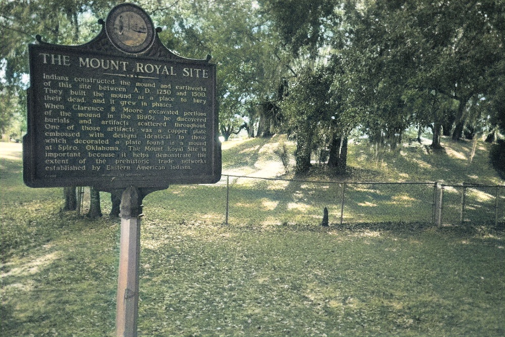 
The Mount Royal Mound in Florida. It was here that C. B. Moore began his excavations in the 1800s. 

Photo courtesy Dr Greg Little, author of the Illustrated Encyclopedia of Native American Indian Mounds & Earthworks (2016).