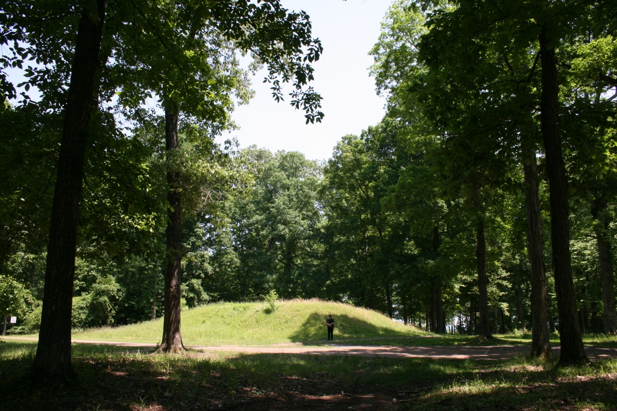 One of the small platform mounds at the Shiloh, Tennessee mound complex & village area.

Photo courtesy Dr Greg Little, author of the Illustrated Encyclopedia of Native American Indian Mounds & Earthworks (2016).

