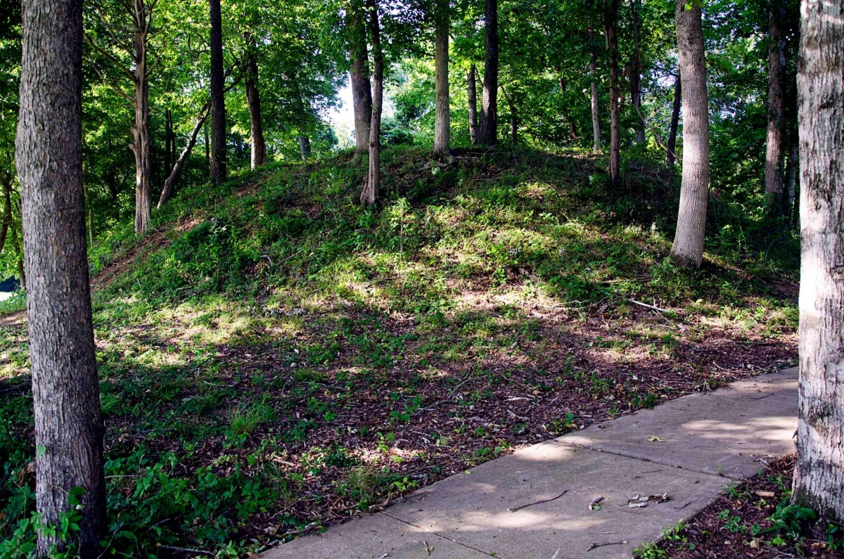 One of the Hamilton Mounds.

Source: https://alabamamoundtrail.org/mound-site/hamilton-mound/

Sponsor: University of Alabama