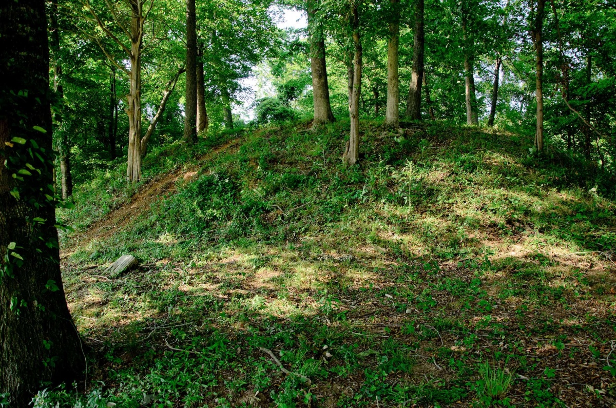 Closer view of one of the Hamilton Mounds. Source: https://alabamamoundtrail.org/mound-site/hamilton-mound/ Sponsor: University of Alabama