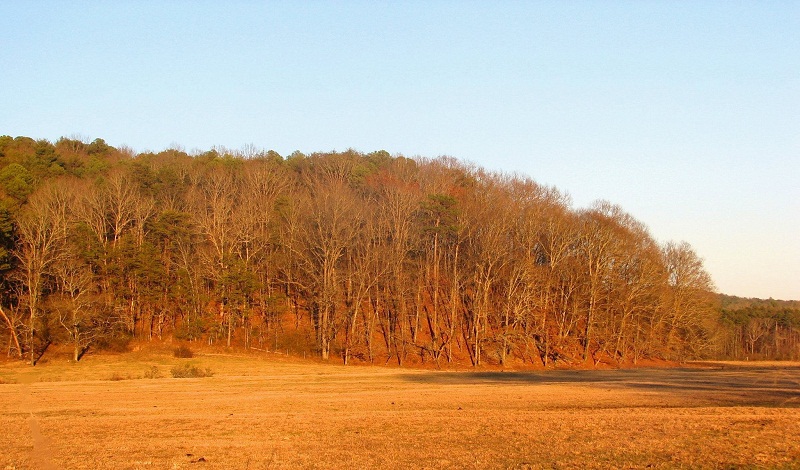 The Kenimer site.  The large flat topped 