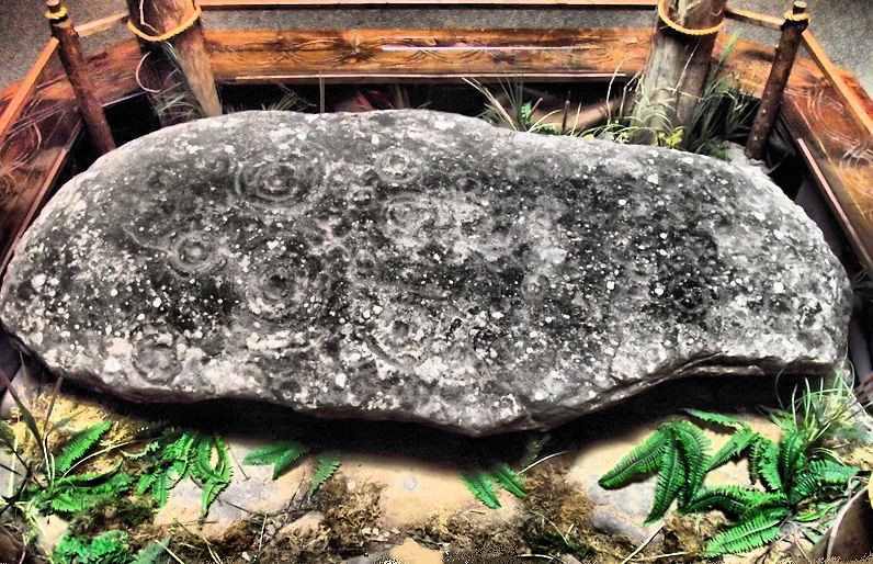 Reinhardt Boulder/Stone links early Bronze Age Ireland with Ancient Southeastern United States.  Found in Georgia USA, this boulder/stone is on display in the Hall of Ancients in the Funk Heritage Museum on the campus of Reinhardt University.  The stone is covered with petroglyphs of concentric rings, circles with crosses, stars and something that looks like a dogwood flower or primitive rose.