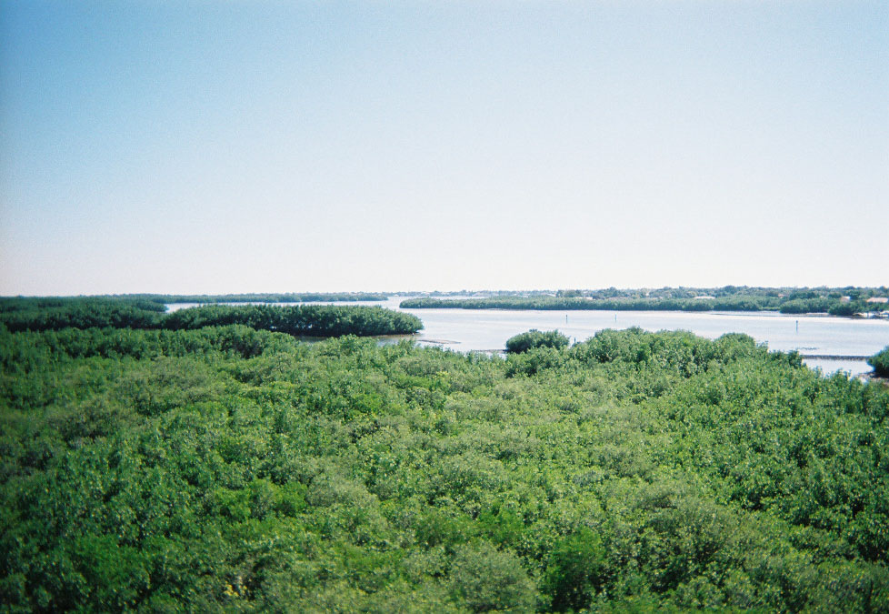 Weedon Island Preserve