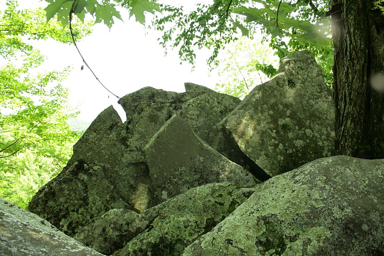 Sculptured Stone near Robbinsville