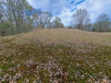 Pinson Mounds - Other Sites - PID:272229