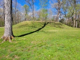Shiloh Indian Mounds - PID:271741