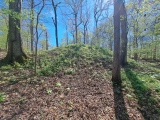 Shiloh Indian Mounds - PID:271742