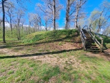 Shiloh Indian Mounds - PID:271745