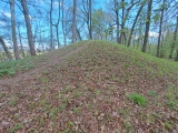 Shiloh Indian Mounds - PID:271746