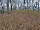 Shiloh Indian Mounds - PID:271771