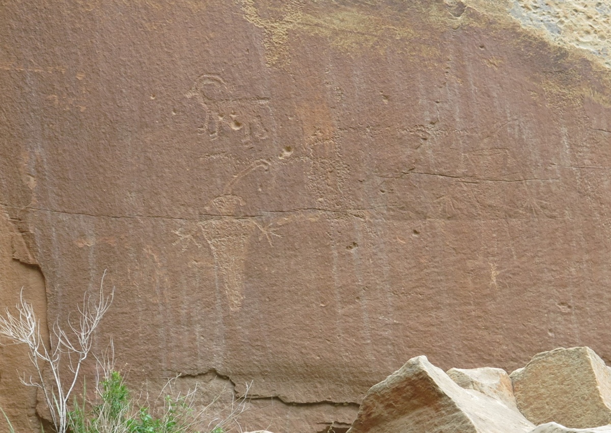 Fruita Petroglyphs