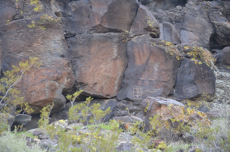 Petroglyphs depicting tortoise shells in Mojave.